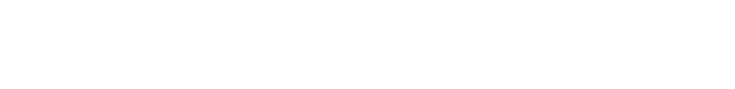2026 07 16 Logoexport Satoshi Wortmarke weiss